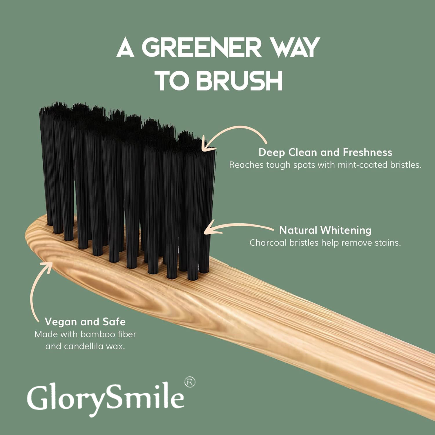 大人用竹製歯ブラシ – 炭入りの柔らかい毛が付いた木製歯ブラ - Bamboo Toothbrush Set のレビューと価格